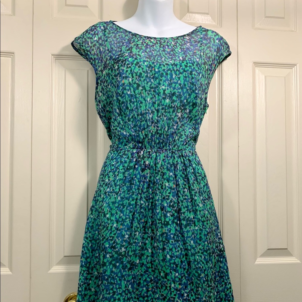 ππΏ Green Spring Meadow J. Crew Dress - Picture 13 of 14